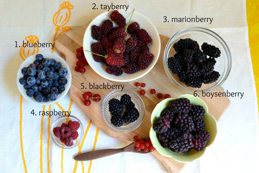 berry introduction