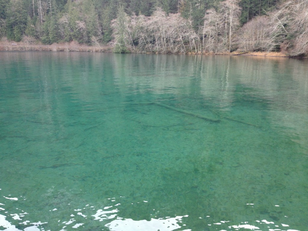 cresent lake water