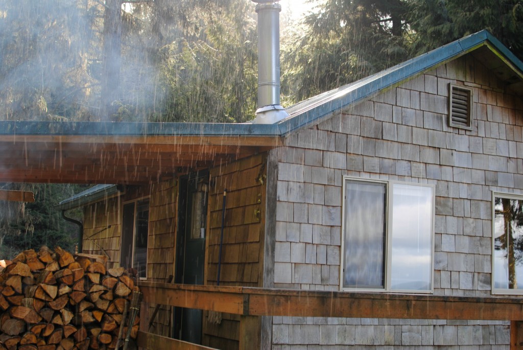 olympic peninsula cabin 1