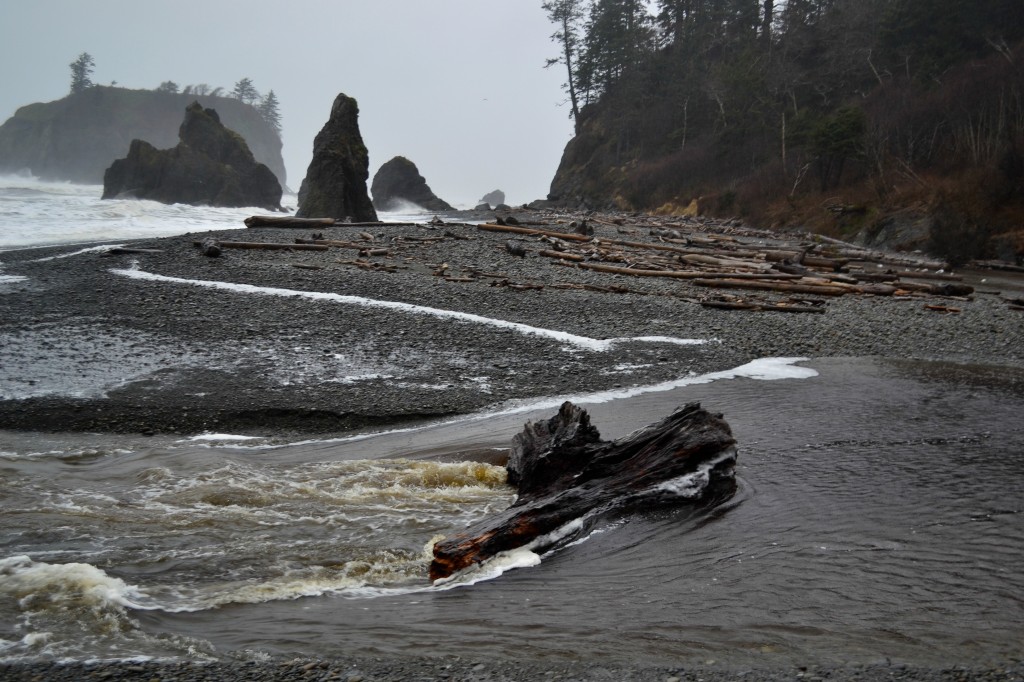 ruby beach 1