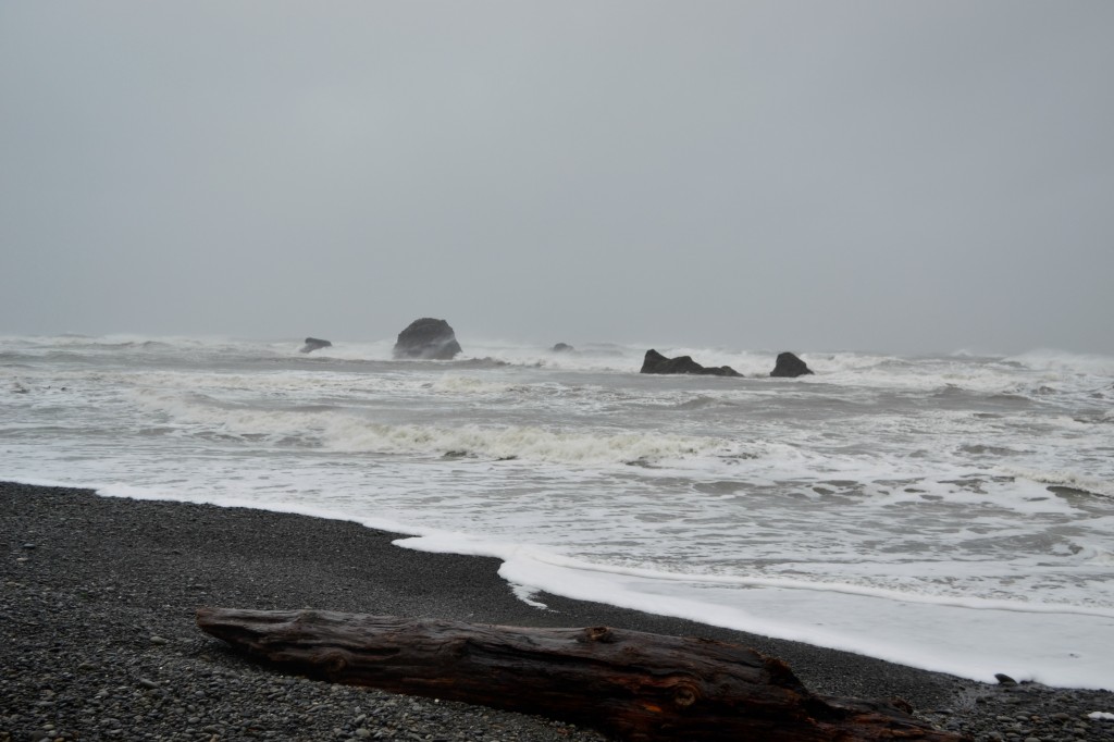 ruby beach 2