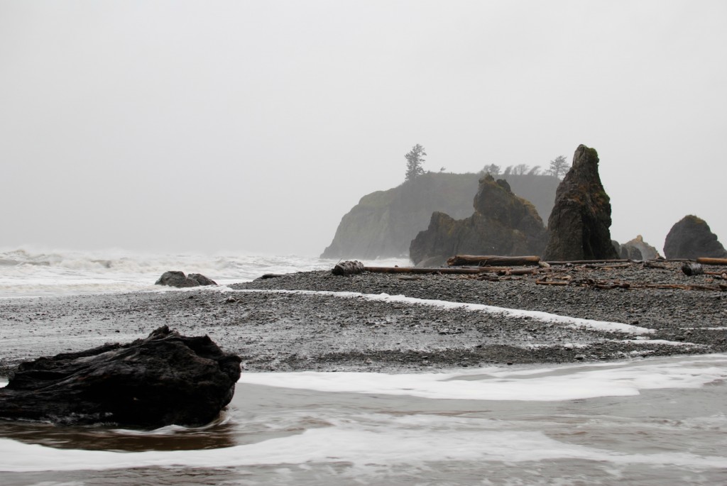 ruby beach 4