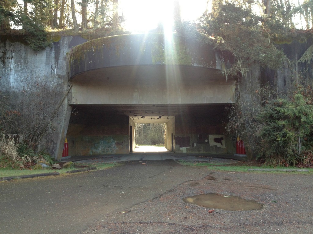 salt creek bunker