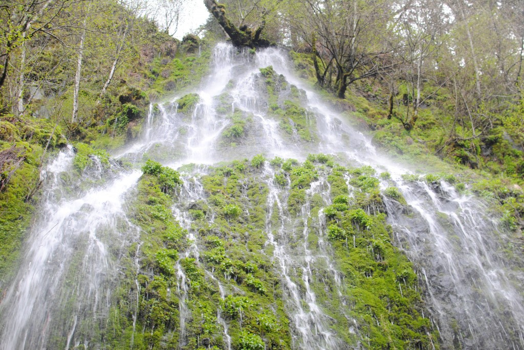 Oregon mossy waterfall