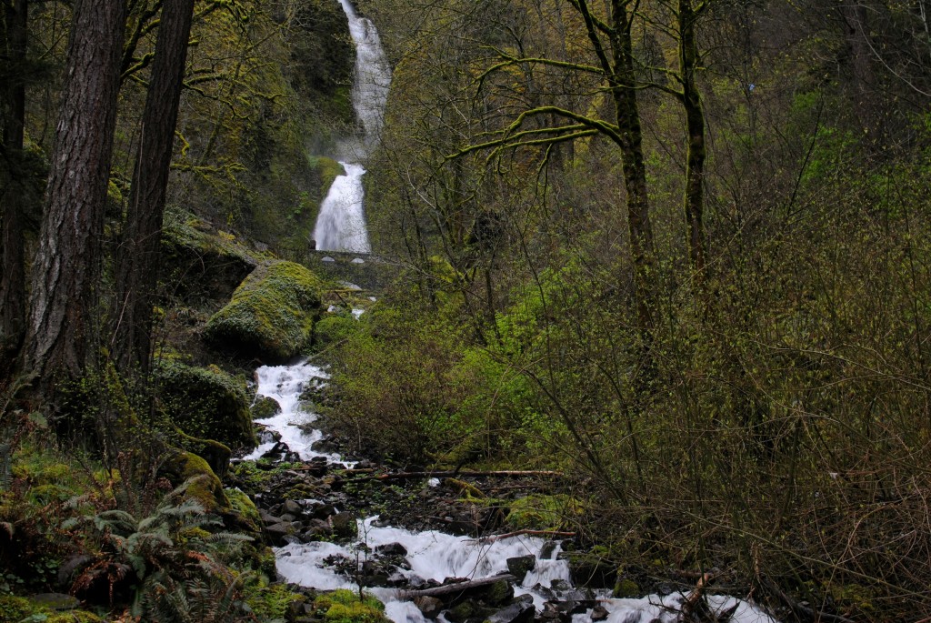 Oregon wooded waterfall