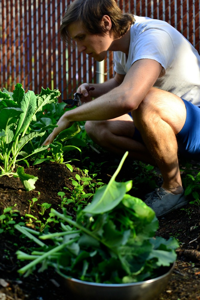 garden first harvest walker