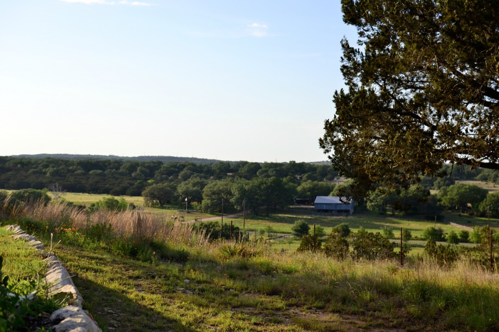 dripping springs fields