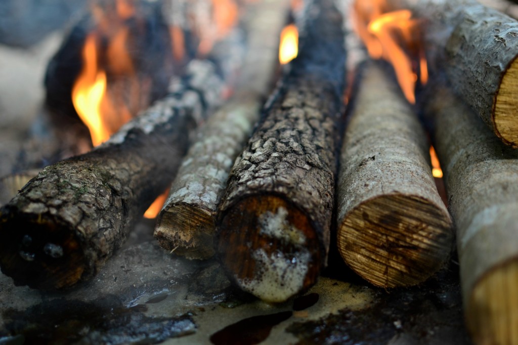 alabama camping fire