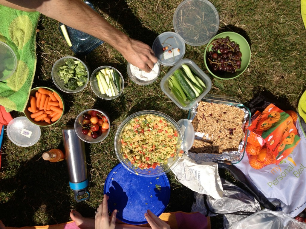 summer 2014 picnic